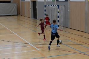 _MG_3474-Avec accentuation-Bruit.jpg